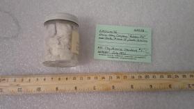 Kaolinite