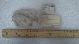 ORTHOCLASE