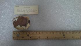 Dickite