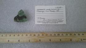 williamsite with Chromite