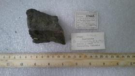 hoeferite