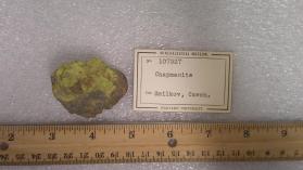 Chapmanite