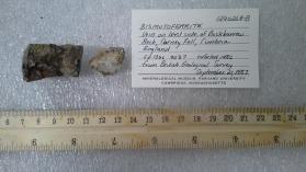 Bismutoferrite