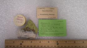 hypochlorite