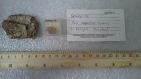 Deweylite