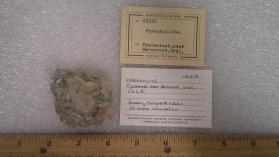 Pyrophyllite