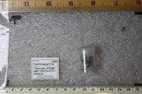 Theophrastite