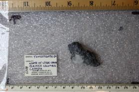 Tungstenite-2H