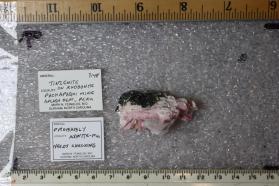 Tinzenite with Rhodonite