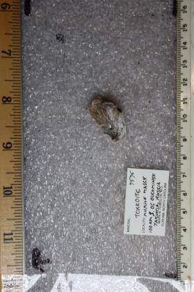 Tokkoite