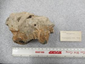 Meionite