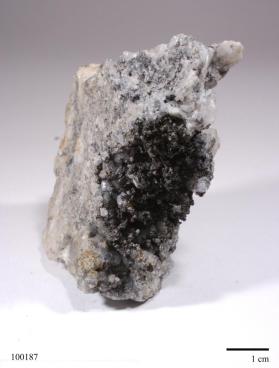 Gold with Acanthite and CALCITE and Quartz