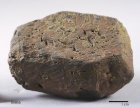 Amphibole Group