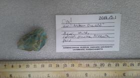 Andean Blue Opal