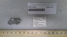 Chenite with Elyite