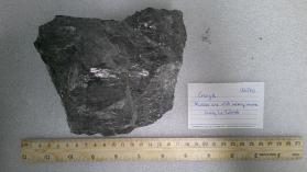 Enargite