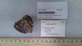Carminite