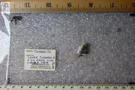 Tungusite