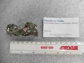 Fluorite w/ Pyrite