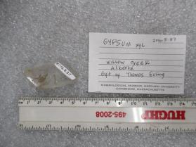 Gypsum xly