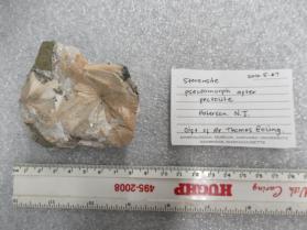 stevensite