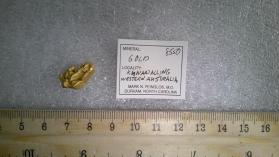 Gold