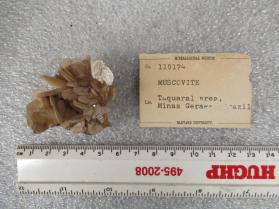 Muscovite