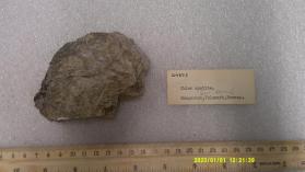 Chlorapatite