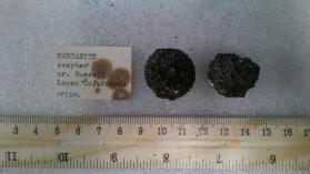 Marcasite