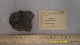 Apatite (var. Phosphorite)