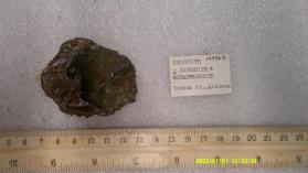 Beraunite with dufrenite and metastingite