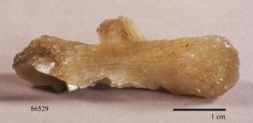 Stilbite