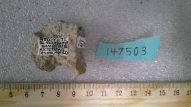 Stuetzite