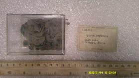 Gypsum