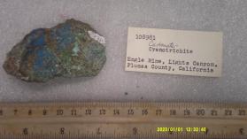Carbonate-cyanotrichite