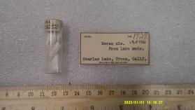Borax xls from lake muds