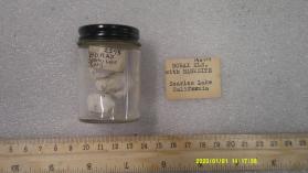 Borax xls with Hanksite