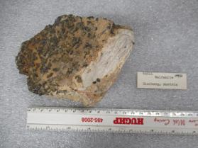 Wulfinite