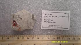 Sartorite