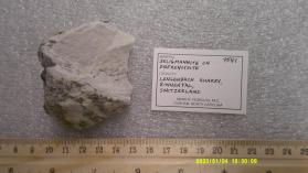 Seligmannite with Dufrenoysite