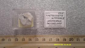 Xanthoconite