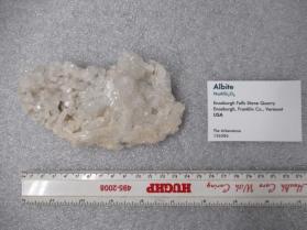 Albite