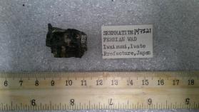 Skemmanite Ferrian Wad