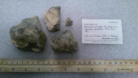 Varlamoffite