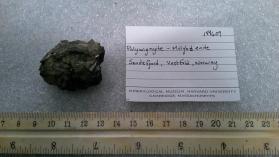 Polymignyite Molybnenite