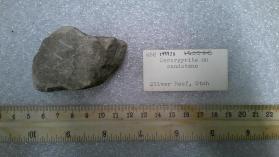 Cerargyrite on sandstone