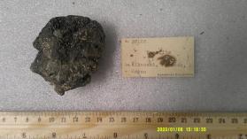 Enargite