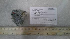 Sorbyite