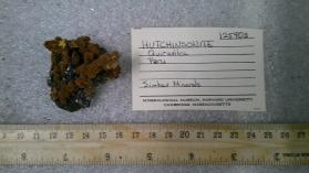 Hutchinsonite