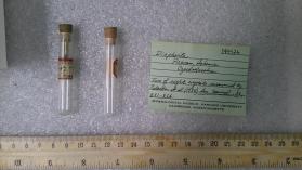 Diaphorite